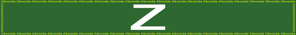 Zavozda,Briard